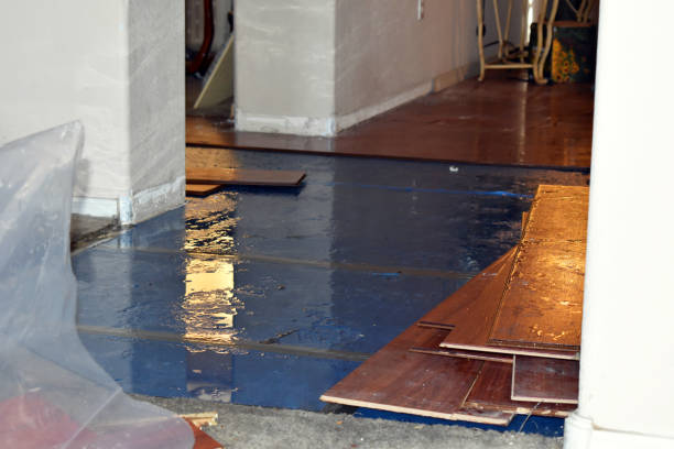 Professional Water Extraction technician working in Van Dyne, WI
